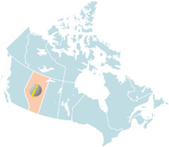 minimapCA